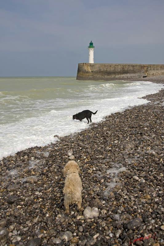 Cjp_2010_04_14_133335 (2).jpg